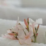 شقة Margarita *