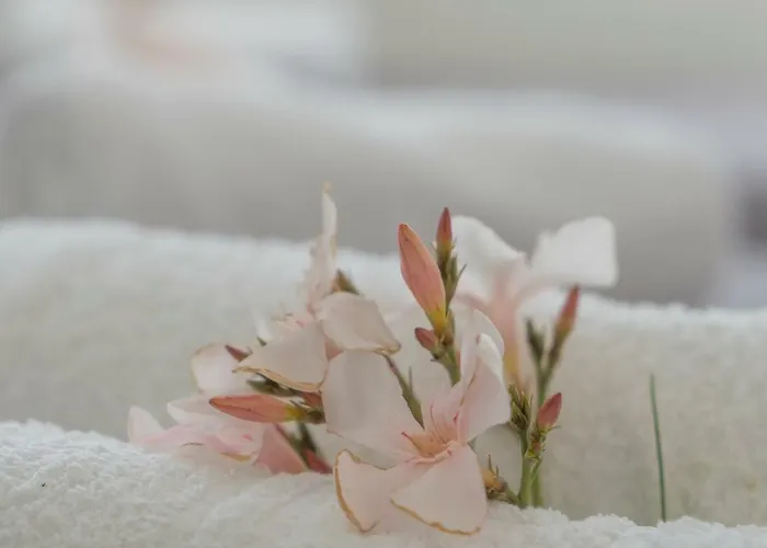 Appartement Margarita *