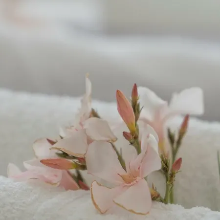 Апартаменты Margarita *