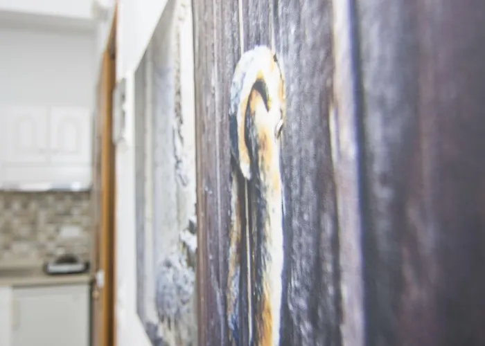 Διαμέρισμα μαργαρίτα Περίσσα